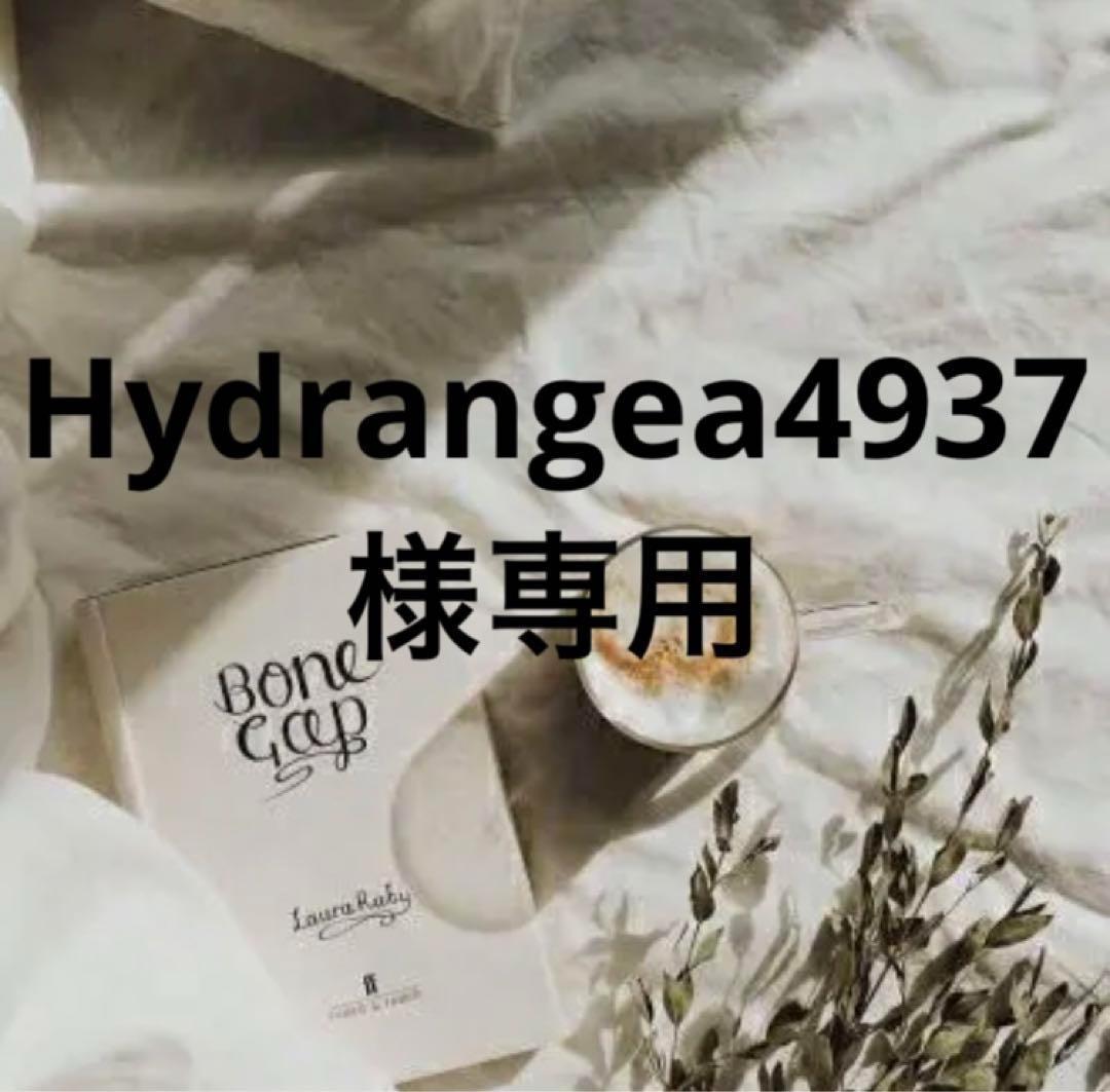 Hydrangea4936　1001