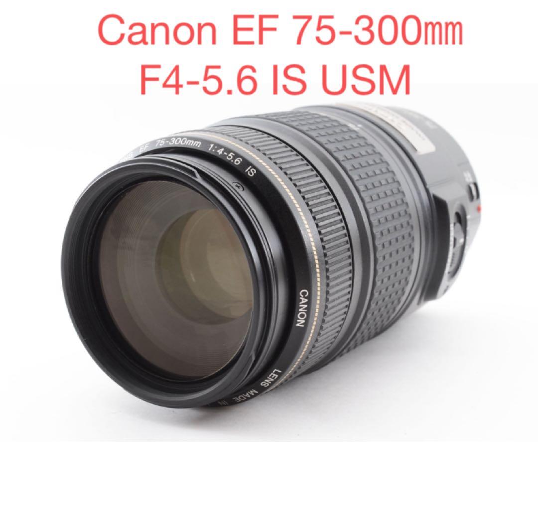 一眼レフカメラ/Canon EF 75-300㎜F4-5.6 IS USM