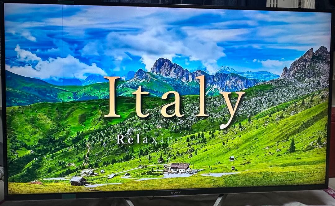 【初売り】BRAVIA KJ-49X8500G リモコン有•各種視聴