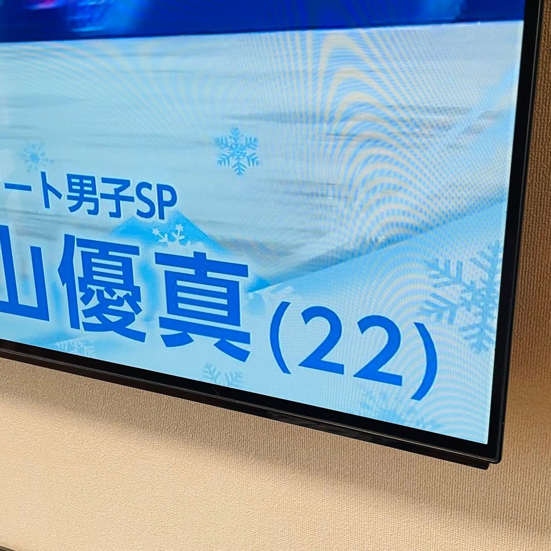 【2018年製】55型有機ELテレビ/Panasonic/TH-55FZ950