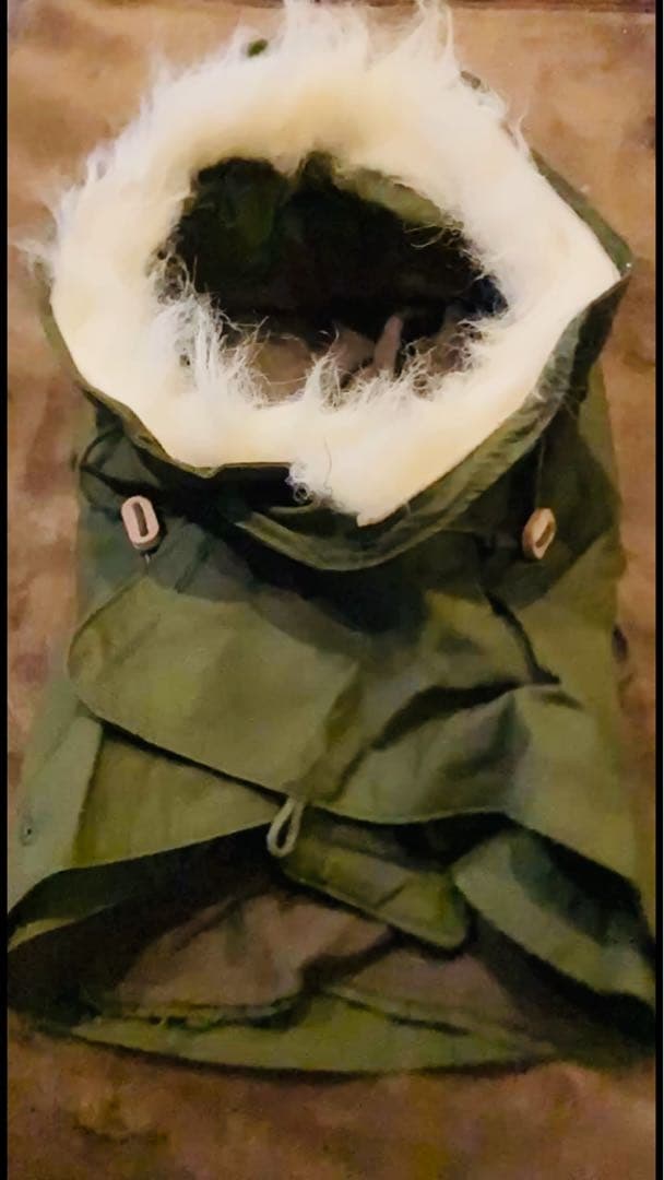 米軍US ARMYデッドストックM65フード 76年製　フィッシュテイル　コート