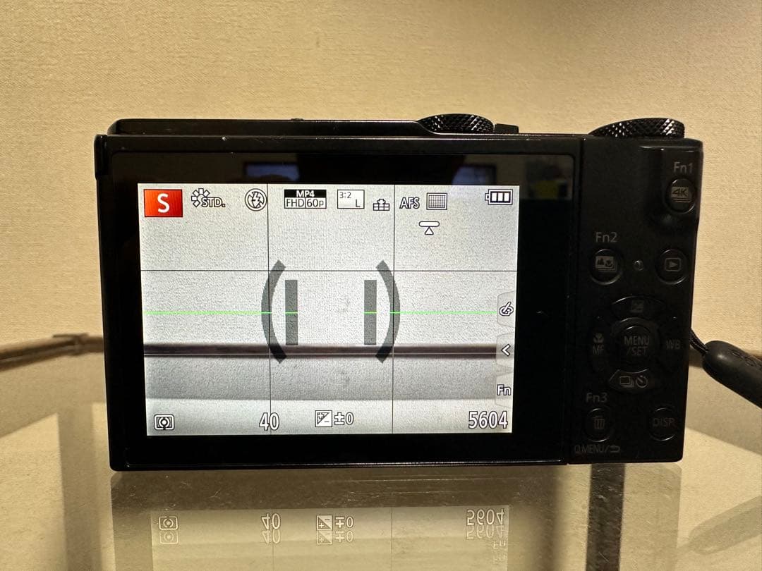 【りん】Panasonic LUMIX DMC-LX9