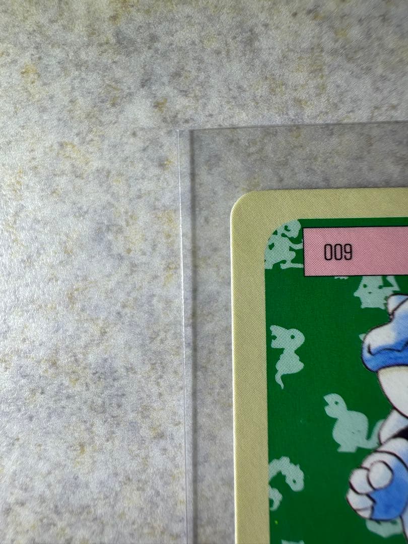 初期 希少 ポケモンカード トップサン カメックス 裏面青