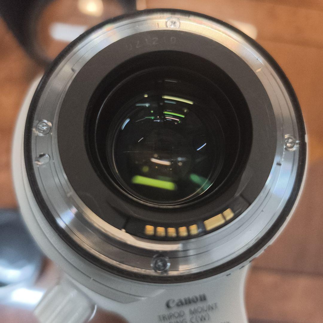 【不具合あり】Canon EF 28-300 F3.5-5.6L IS USM