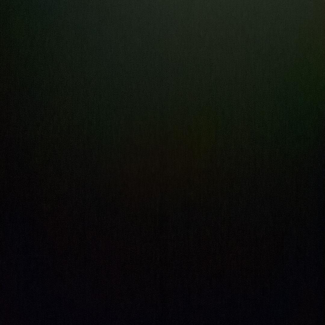 たぬき